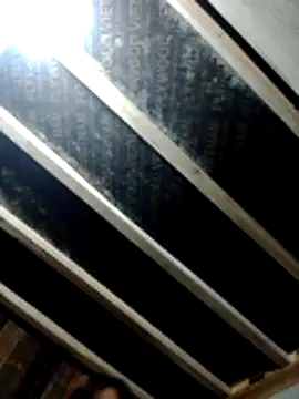 YAONIKUTE online show from 04/25/26, 10:18