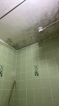 sylphiee  online show from 04/08/26, 11:54