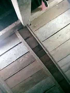 hasaki001 online show from 04/13/26, 08:36