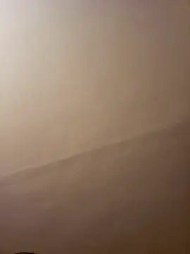 dufatcock online show from 04/10/26, 08:02