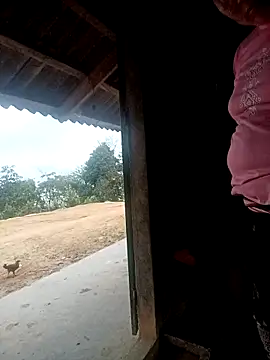 kalara kail online show from 03/31/26, 11:05