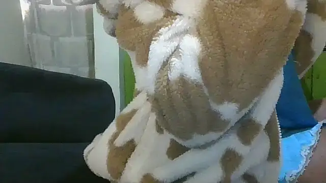 Elianastar online show from 04/16/26, 04:46