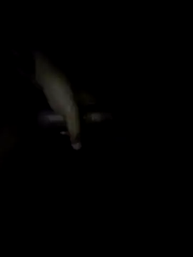 BronzedMask1 online show from 05/14/26, 08:32