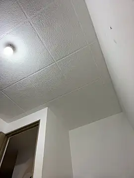 LauTul online show from 04/15/26, 04:25