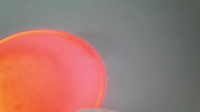 srghost333 online show from 03/25/26, 03:56