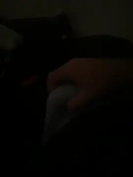 yassineamri online show from 03/28/26, 01:22