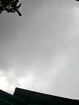 Cute-flowers online show from 03/21/26, 02:38