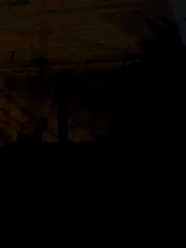 tuchokolatit0 online show from 04/03/26, 08:34