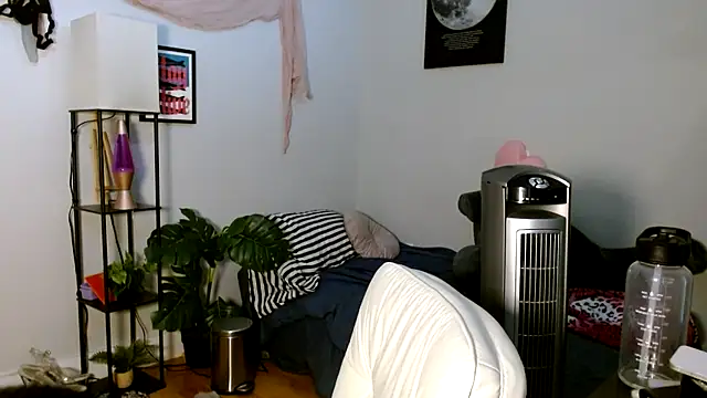 solifaye online show from 04/05/26, 03:20