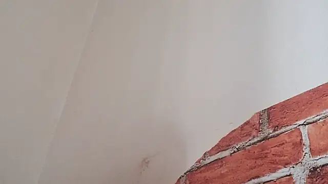 Sueliton2 online show from 03/28/26, 05:34