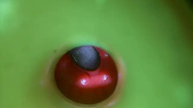 rubbingtothetips online show from 03/24/26, 05:29