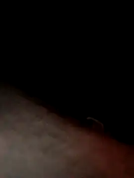 dannyboy8in online show from 03/24/26, 05:34