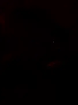 chefyahwan online show from 04/13/26, 09:48
