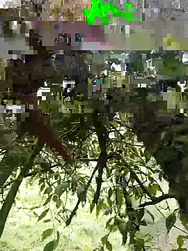 xjkedv online show from 06/06/26, 06:45