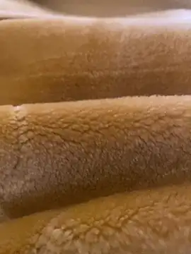 Ashwak trans online show from 04/04/26, 12:02