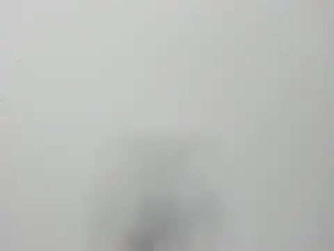 Alejandra and James  online show from 03/29/26, 11:21