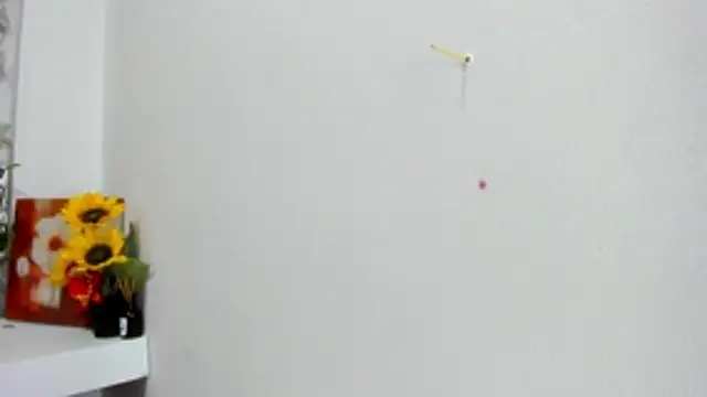 Alejandra and James  online show from 05/29/26, 11:52