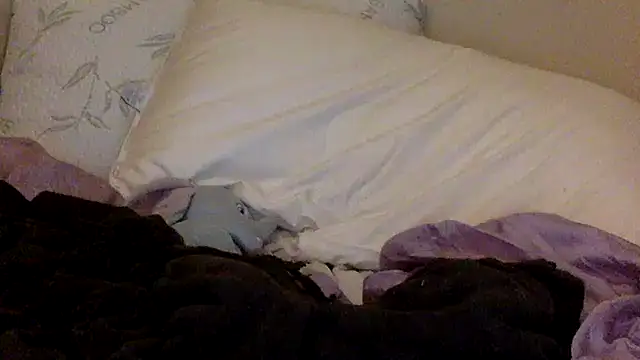 savannabanana online show from 03/26/26, 03:34