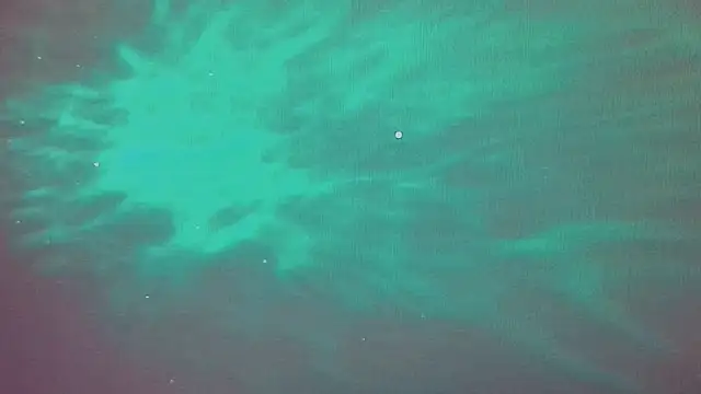 Katarina Fox  online show from 04/02/26, 05:10