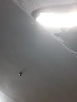 ShellBixAngeLL online show from 04/01/26, 05:54