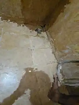 tamilpaiyan354 online show from 04/25/26, 03:20