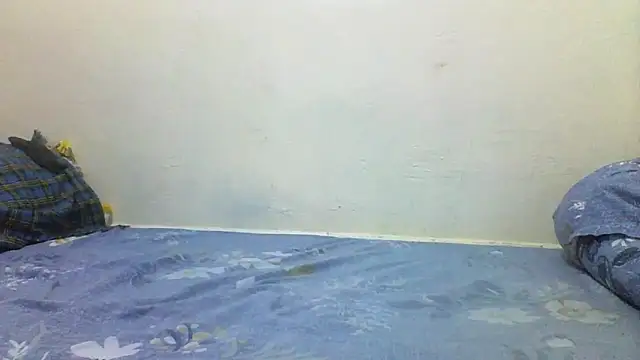 chauke2345 online show from 04/20/26, 02:31