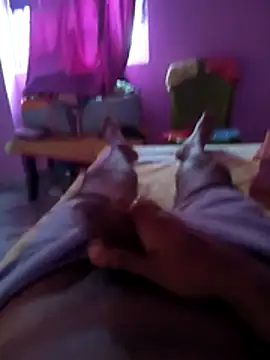 Snapshot of tappu0991 chatting on 04/03/26, 12:52 tappu0991 online show from 04/03/26, 12:52