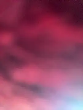 eu elisa online show from 04/01/26, 05:32