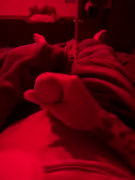 Dstat715 online show from 04/19/26, 06:02