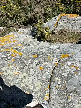 Adventure wifeandblack online show from 04/03/26, 12:47