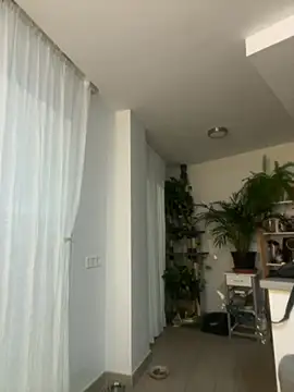 zensorial online show from 04/23/26, 08:11