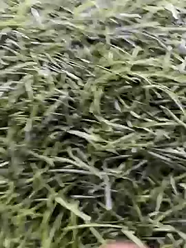 X-boy-11 online show from 04/16/26, 08:59