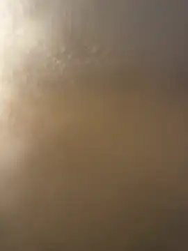 bfs128 online show from 04/05/26, 06:16