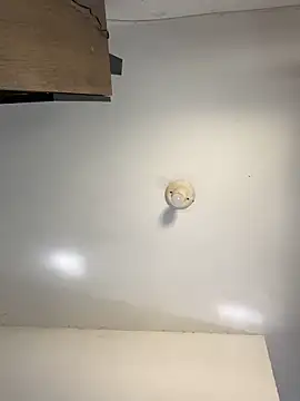 sanches 065 online show from 04/06/26, 04:52