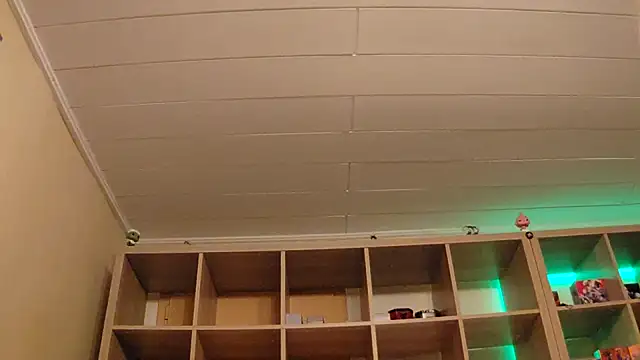 SilvyDiamond online show from 04/07/26, 07:36