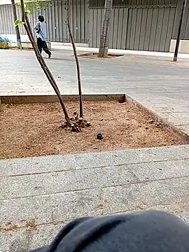 Snapshot of biga00 chatting on 04/11/26, 03:38 biga00 online show from 04/11/26, 03:38