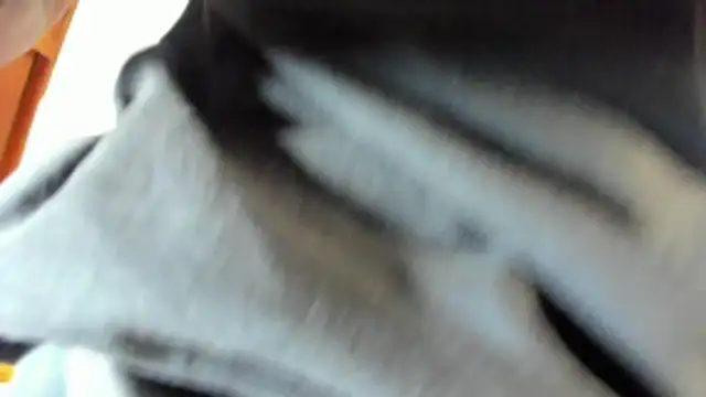 pipe monstercock online show from 05/21/26, 08:16