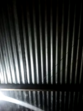 Sxxmann online show from 07/01/26, 04:25