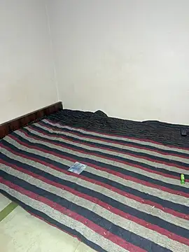 Love Birds00 online show from 06/11/26, 09:07