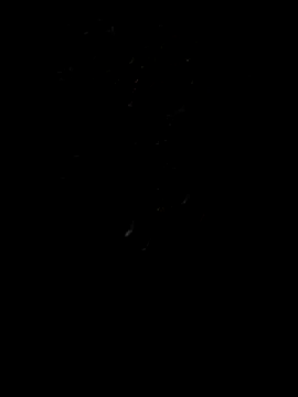 Rocky pune online show from 04/08/26, 01:55