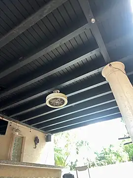 youngwildfreee online show from 04/09/26, 08:25