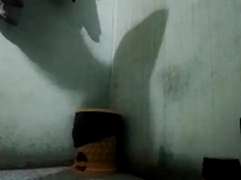 Snapshot of thichgaidambu chatting on 05/27/26, 08:11 thichgaidambu online show from 05/27/26, 08:11