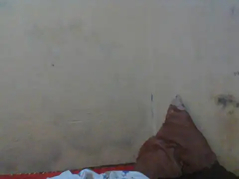 Snapshot of Rerpuss1 chatting on 04/12/26, 08:25 Rerpuss1 online show from 04/12/26, 08:25