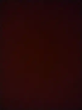 stibsas online show from 07/23/26, 08:18
