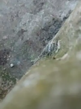 Couple69sexe online show from 04/22/26, 04:19