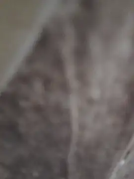 Snapshot of sk022 chatting on 04/15/26, 06:26 sk022 online show from 04/15/26, 06:26