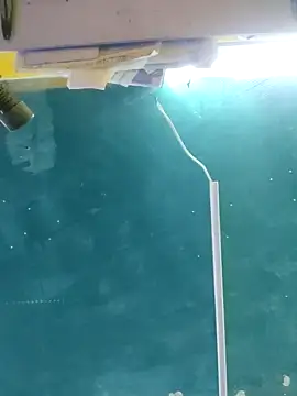 maicol6699 online show from 04/15/26, 04:52