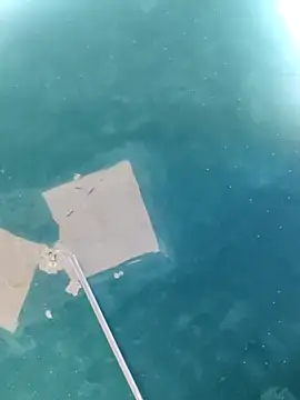 maicol6699 online show from 04/18/26, 05:11