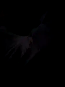 Peeedaaaa online show from 05/23/26, 05:34