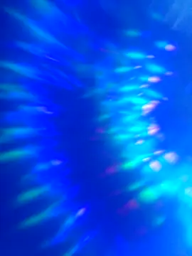 world6kingsss online show from 04/23/26, 09:06